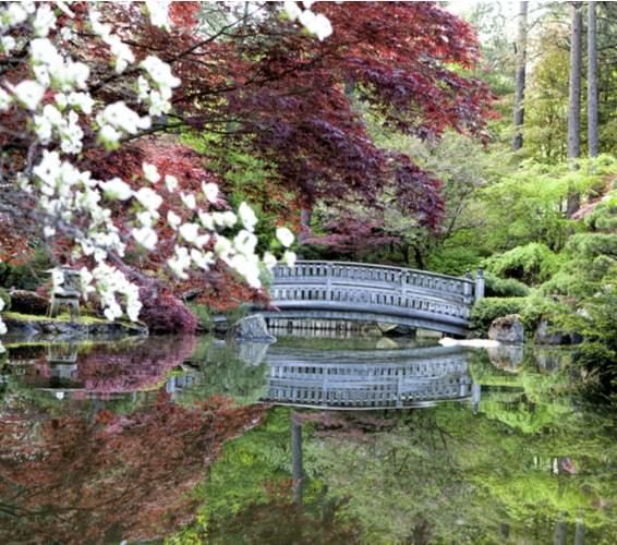 Beautiful bridge on top of reflective water with red trees in Washington